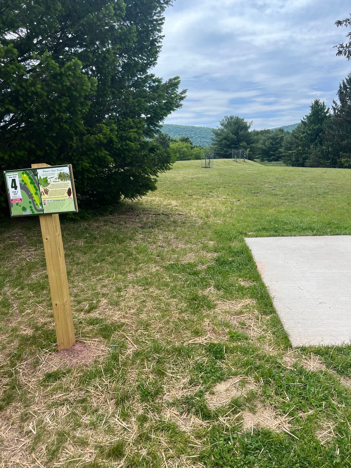 Hole 4