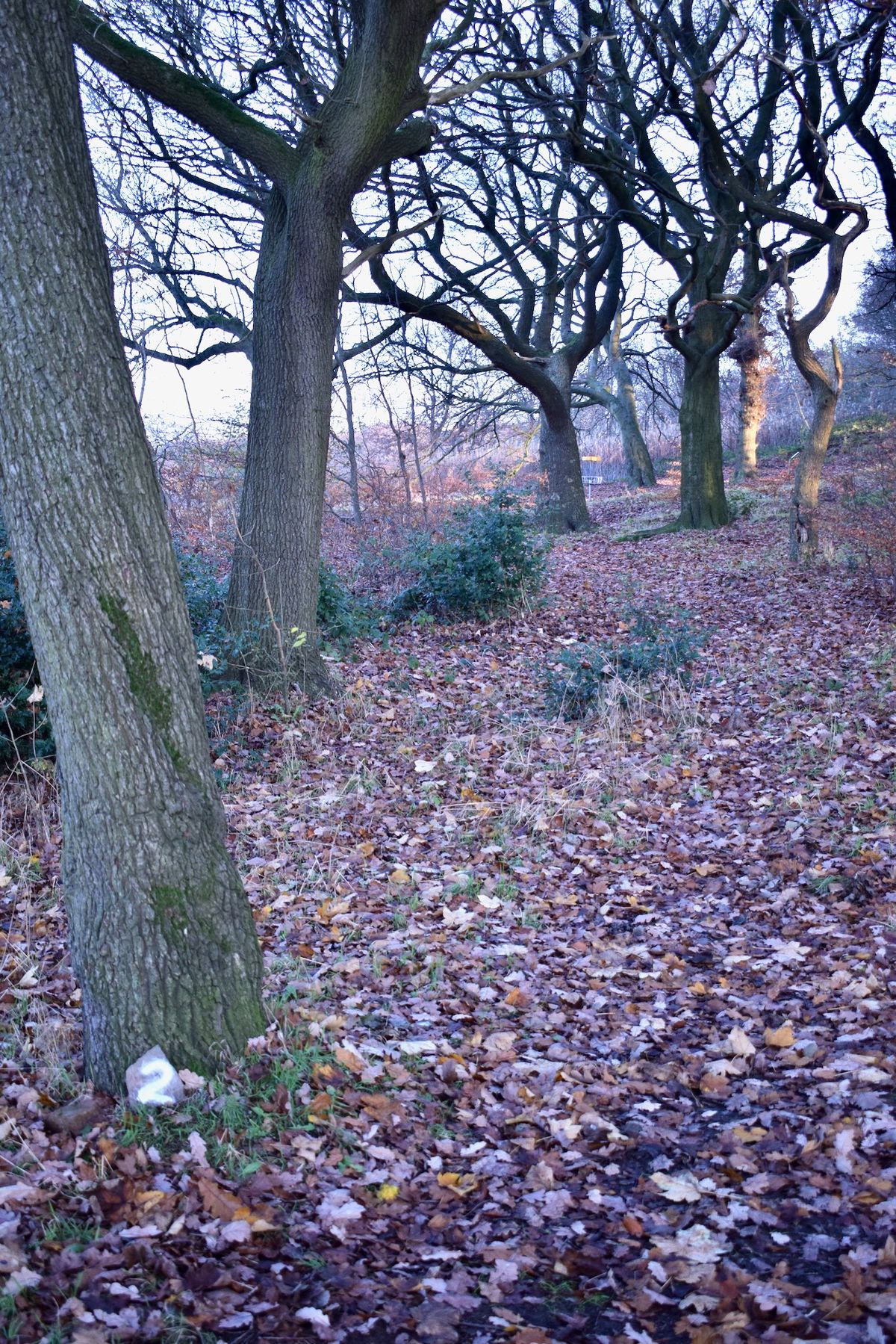 Four Stumps Hole 2.
Main Hole 3.