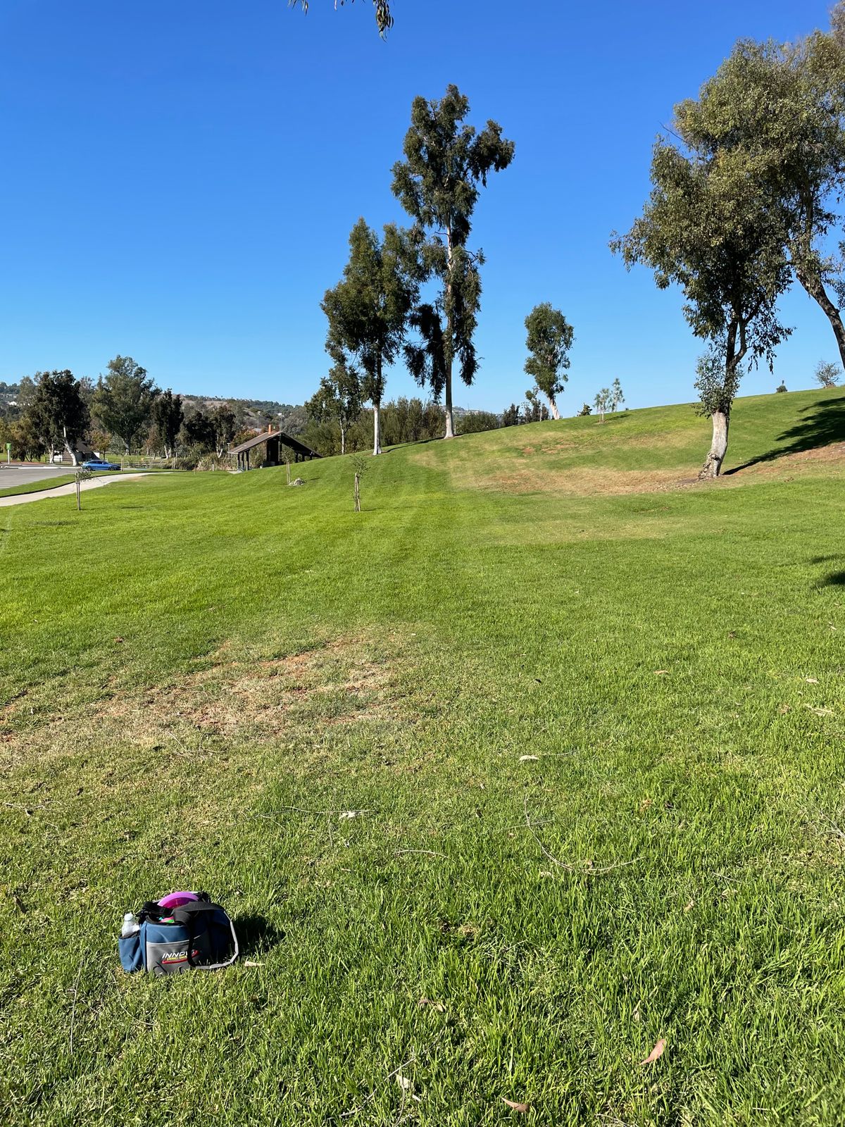Hole 9 tee pad. 
Double mando is 2 large trees approx 230’ away.