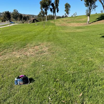 Hole 9 tee pad. 
Double mando is 2 large trees approx 230’ away.