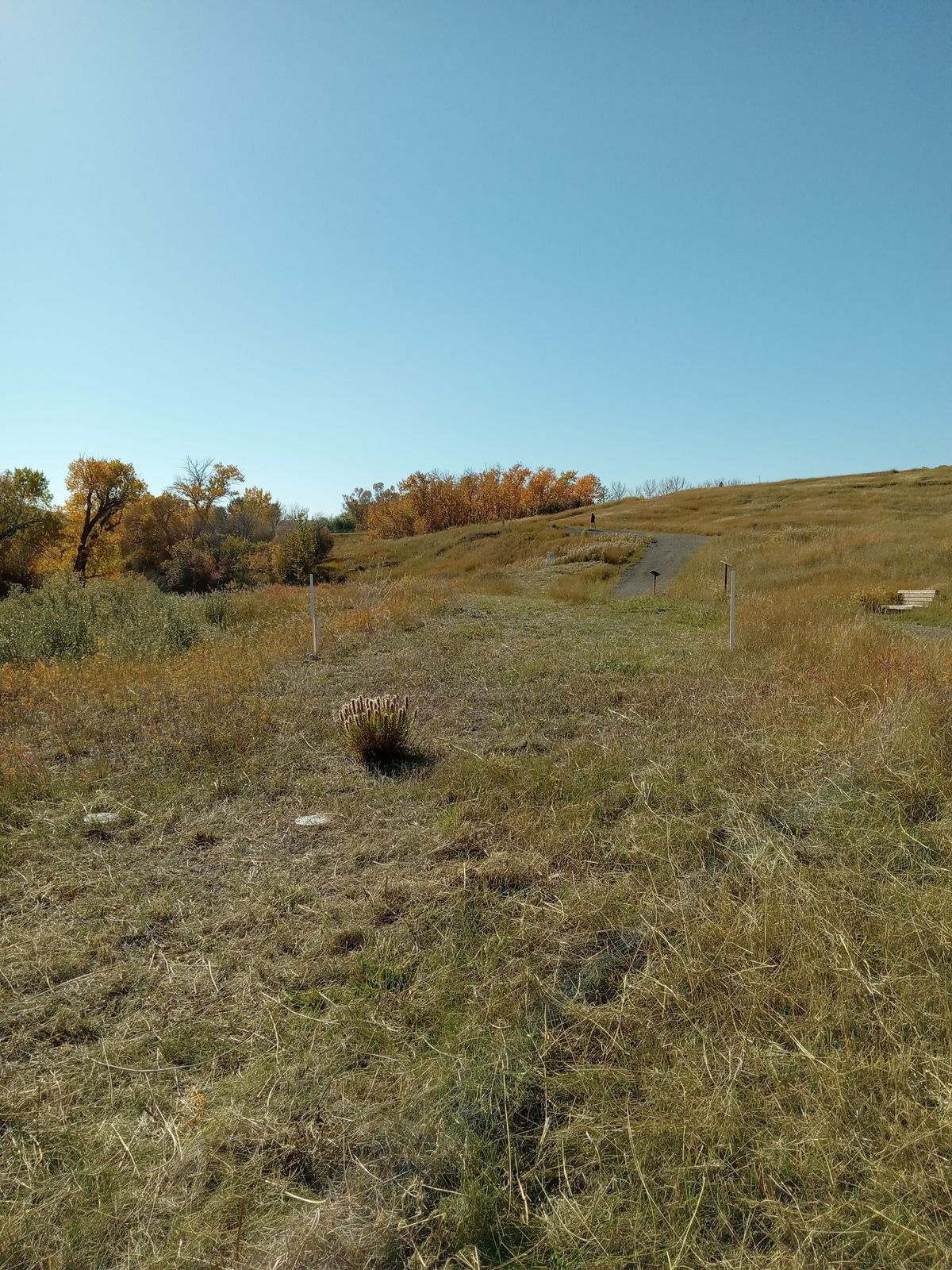 Hole 8 double mando