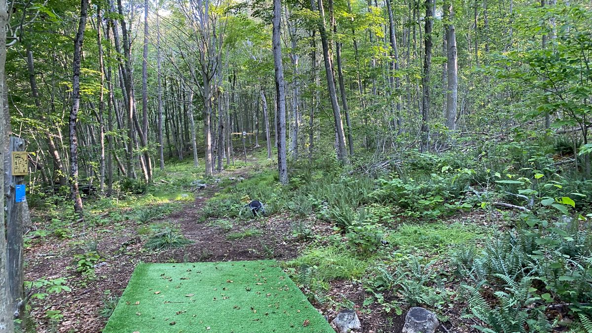 The first tee