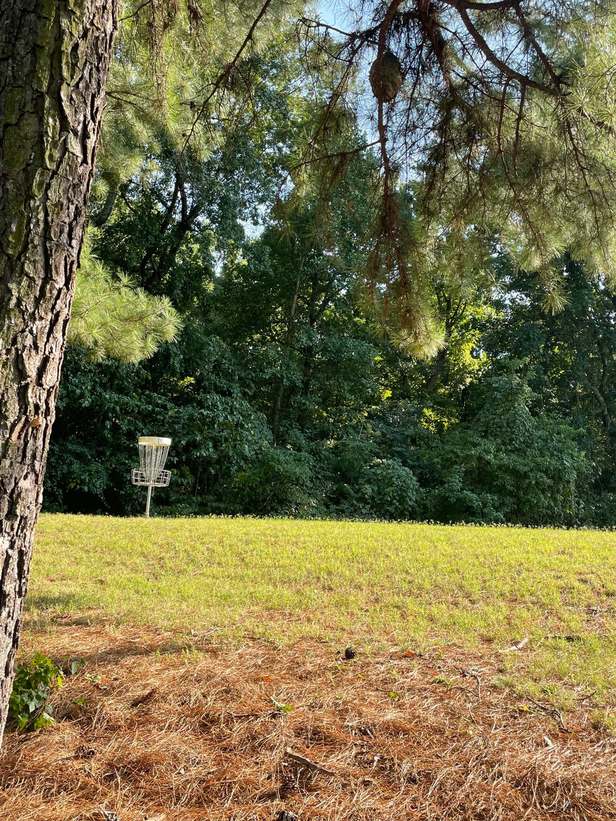 Hole #16
