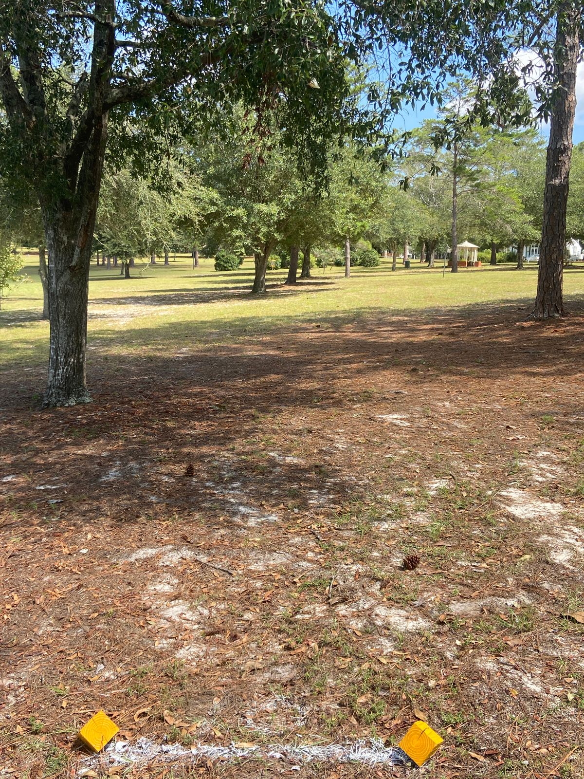Hole 10. (Violet  Holst design)