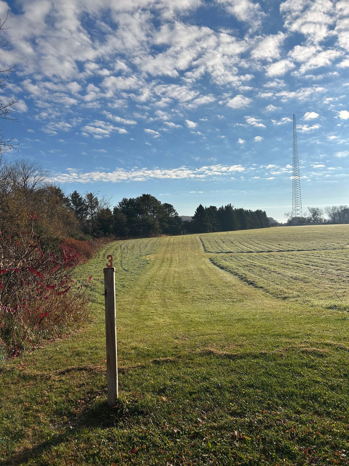 Hole 3 tee area and sign
