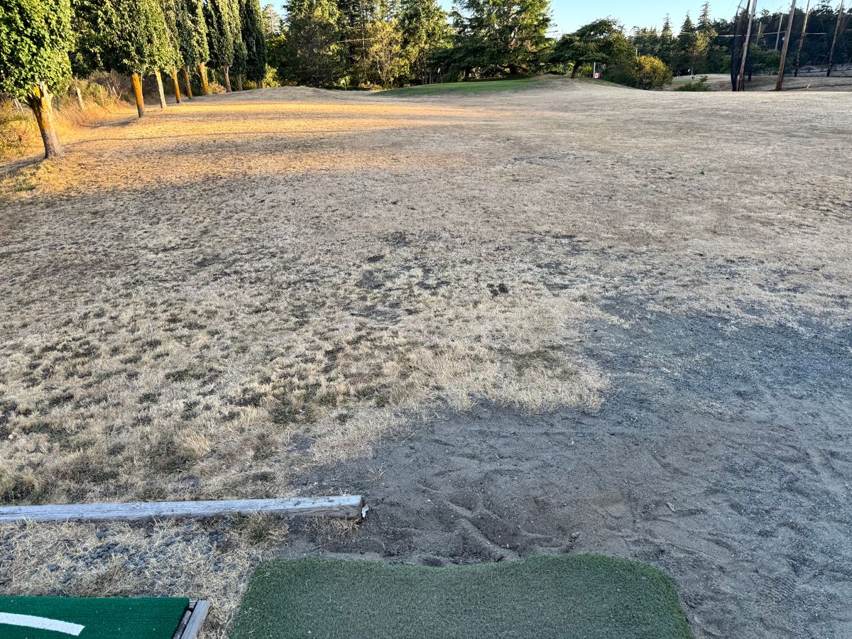 Hole 8