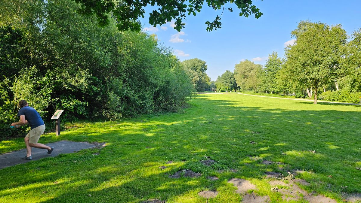 6 - tee