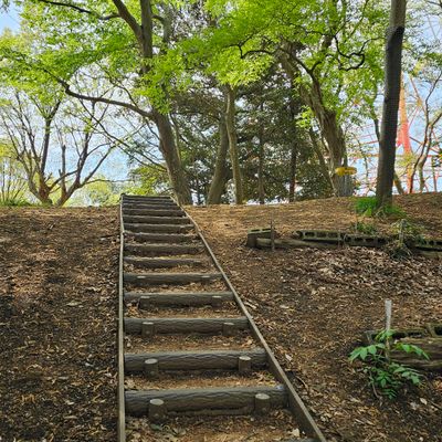Stairs leading up to basket 8, the tee pad starts at the bottom of the stairs