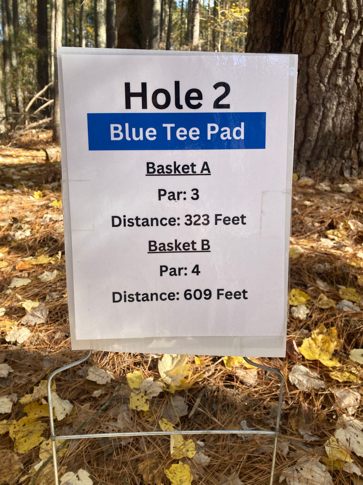 Hole 2 Blue Tee Sign
