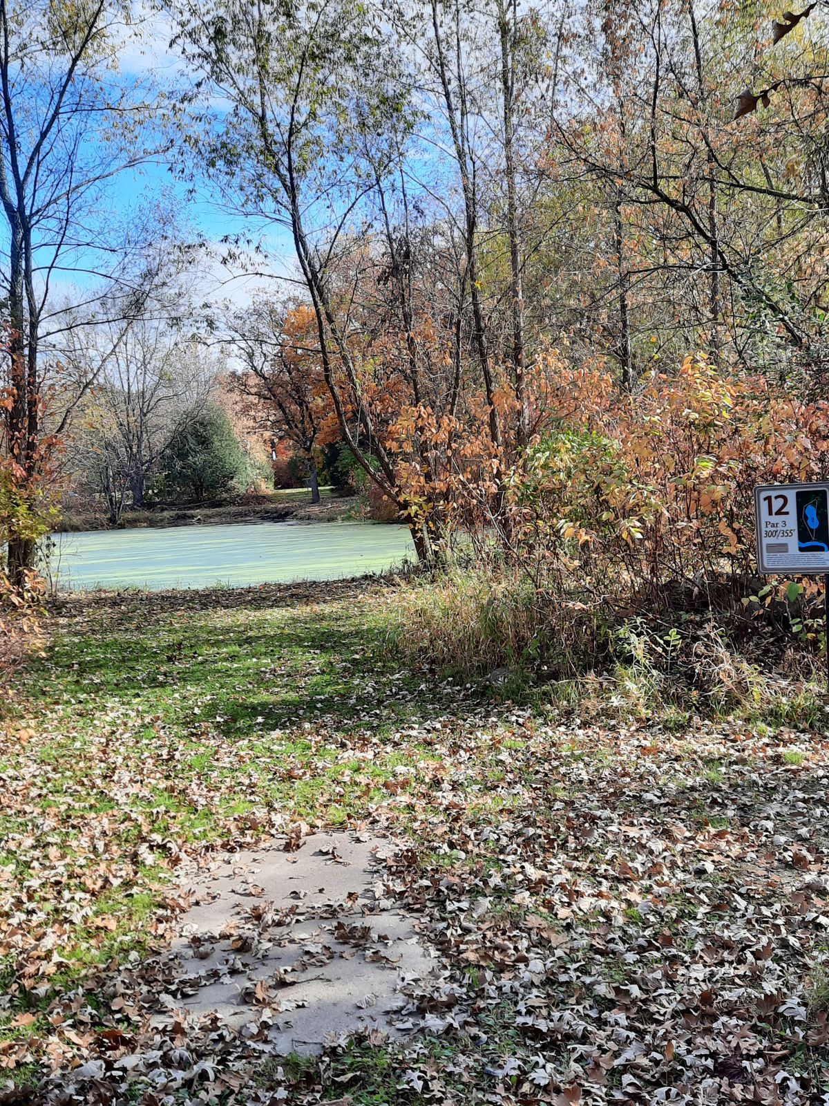 Hole 12 tee