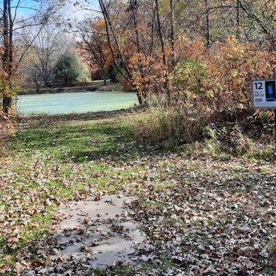 Hole 12 tee