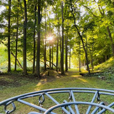 Hole 2 Basket looking back towards tees