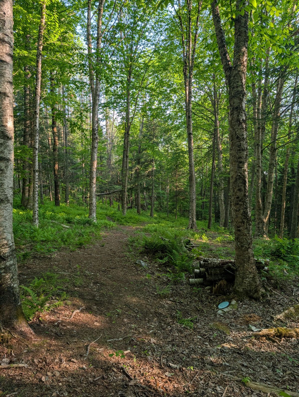 Hole 8