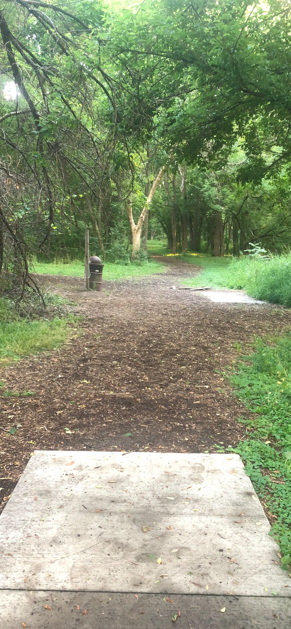 Hole 6 (Longs)