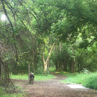Hole 6 (Longs)