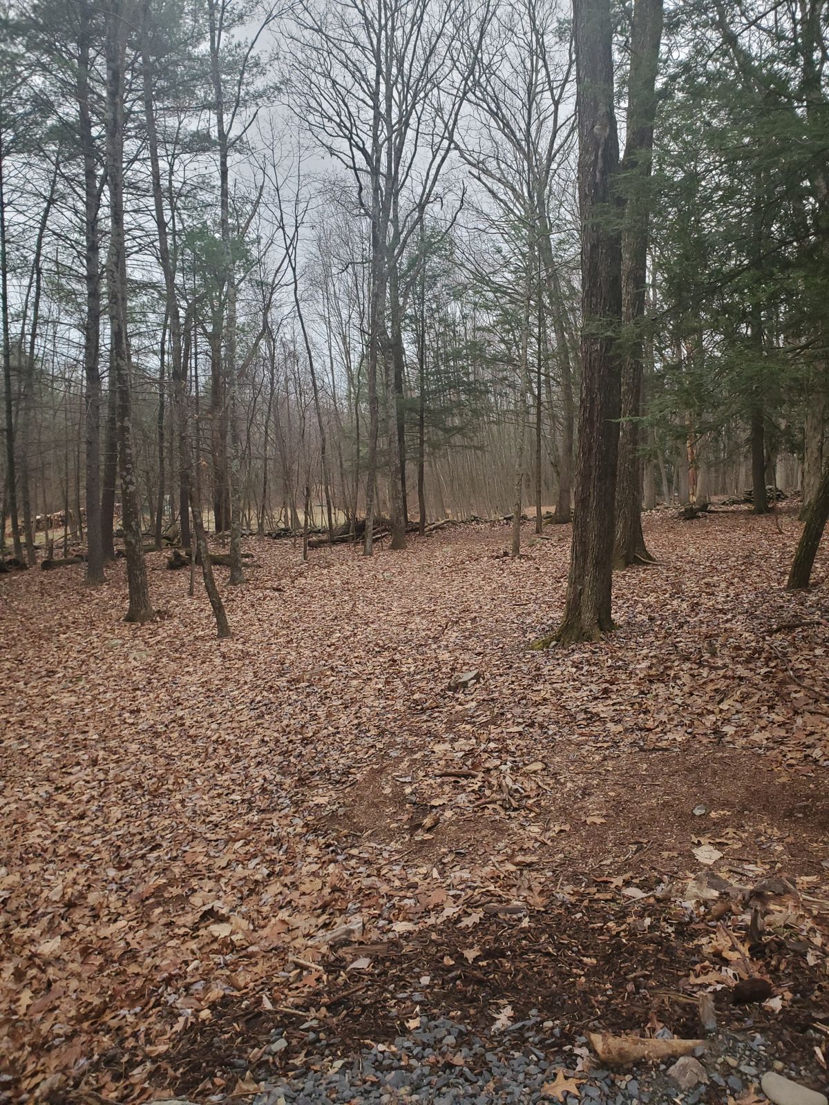 Hole 6