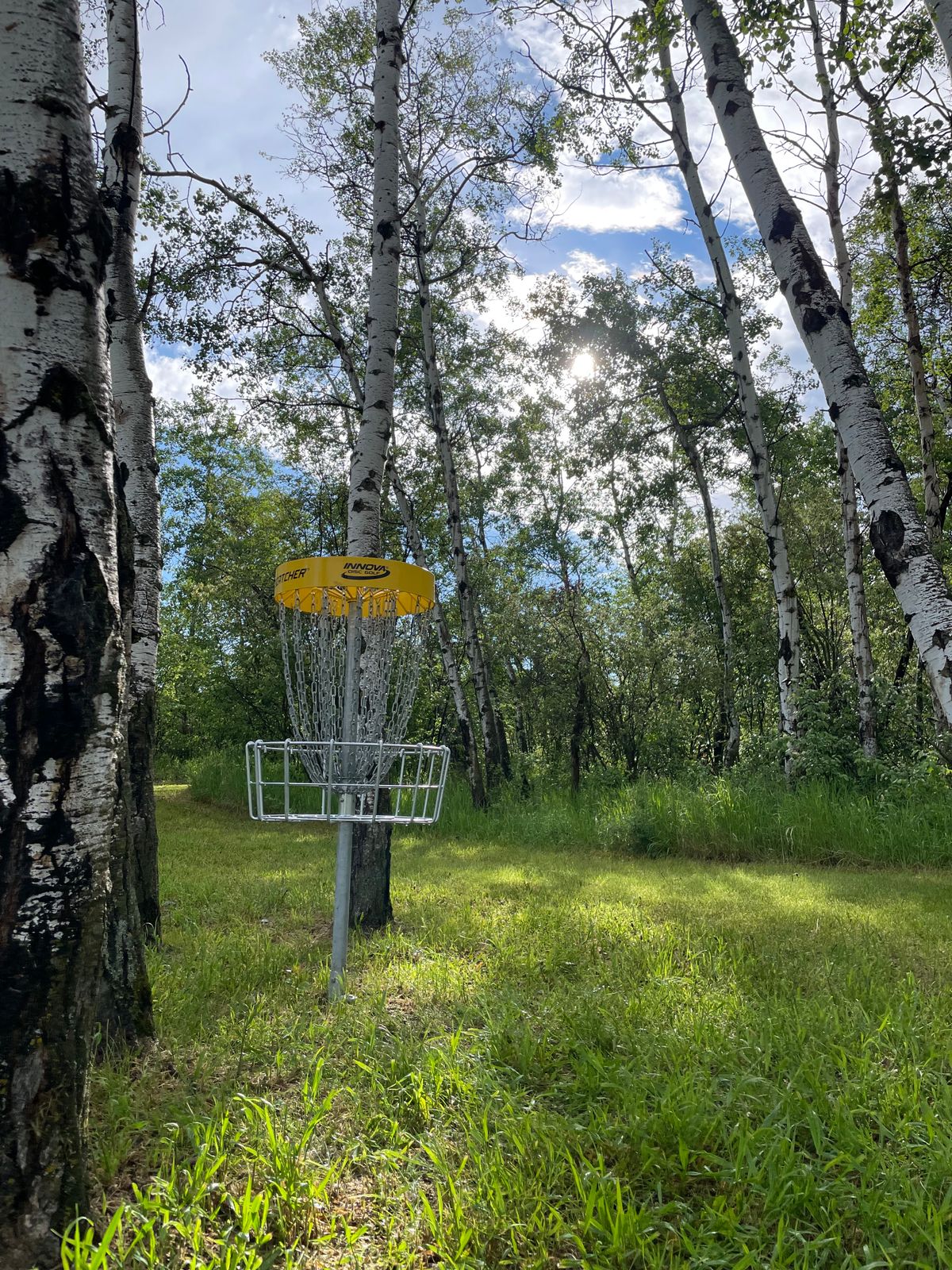Well guarded basket 18
