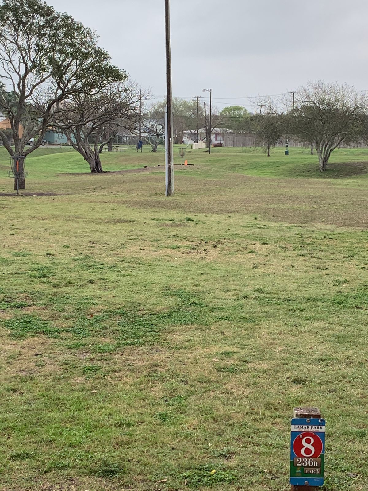 Tough elevated basket, small barrier behind,  about 2’ high. Steep small hill running disc away
