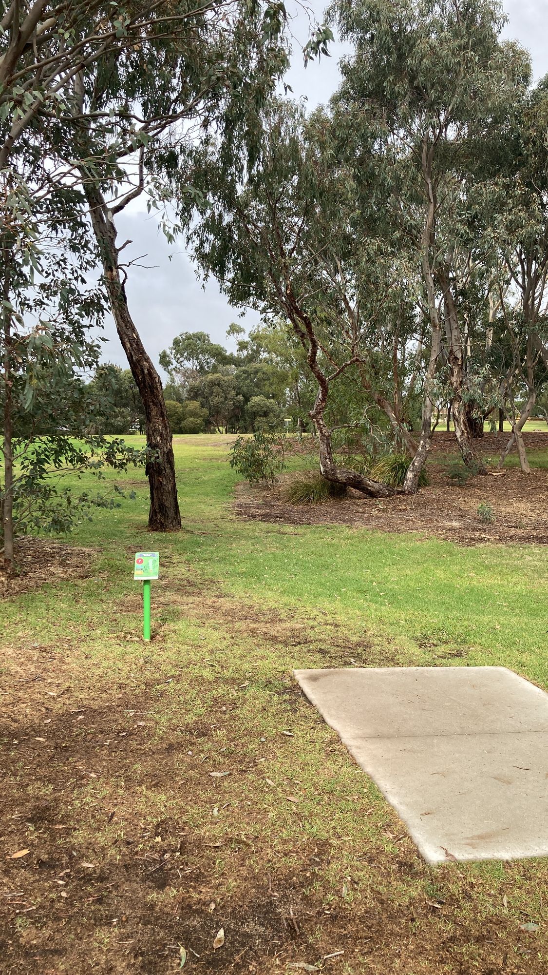 Hole 7, early gap, hard right turn.