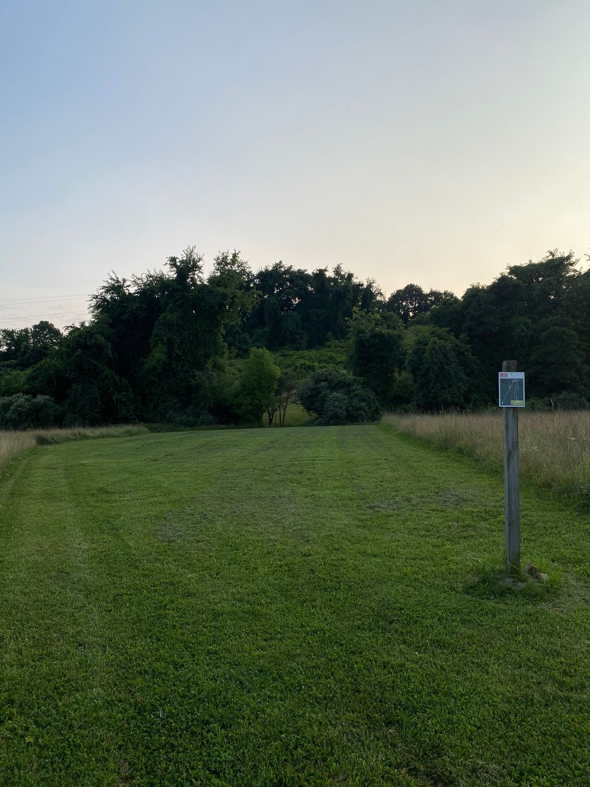 Hole 7 tee