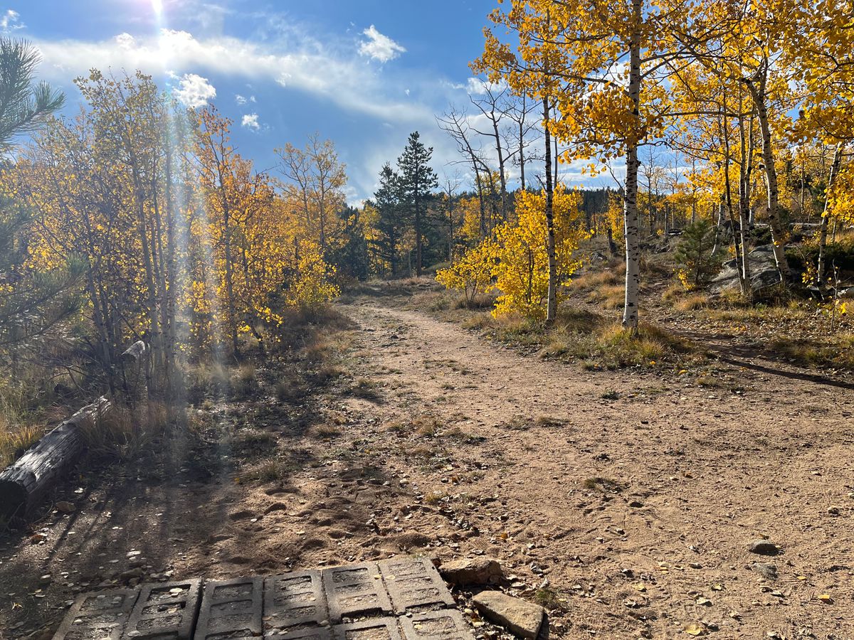 Fall in full swing