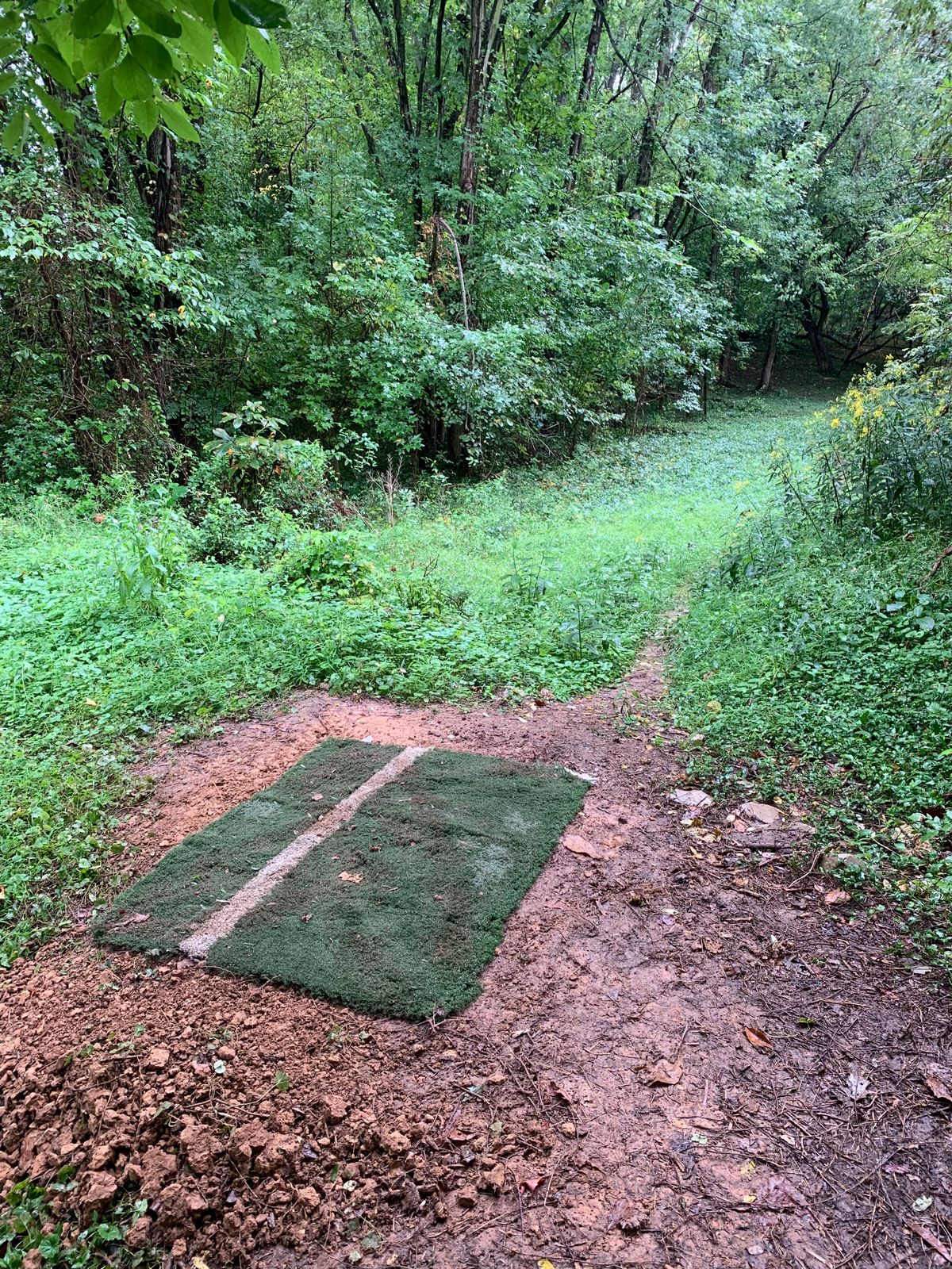 Hole 9