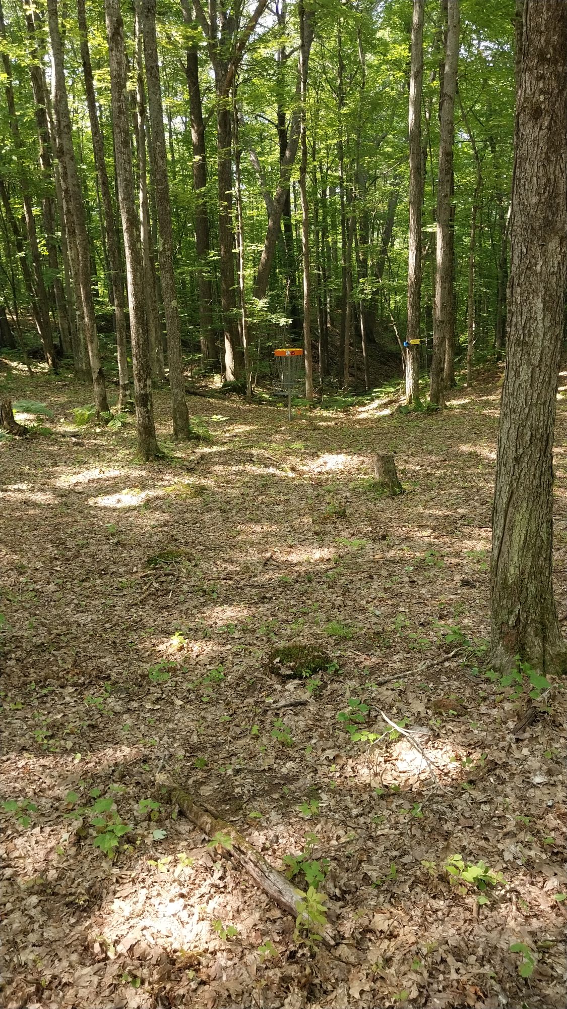 Hole 15 long