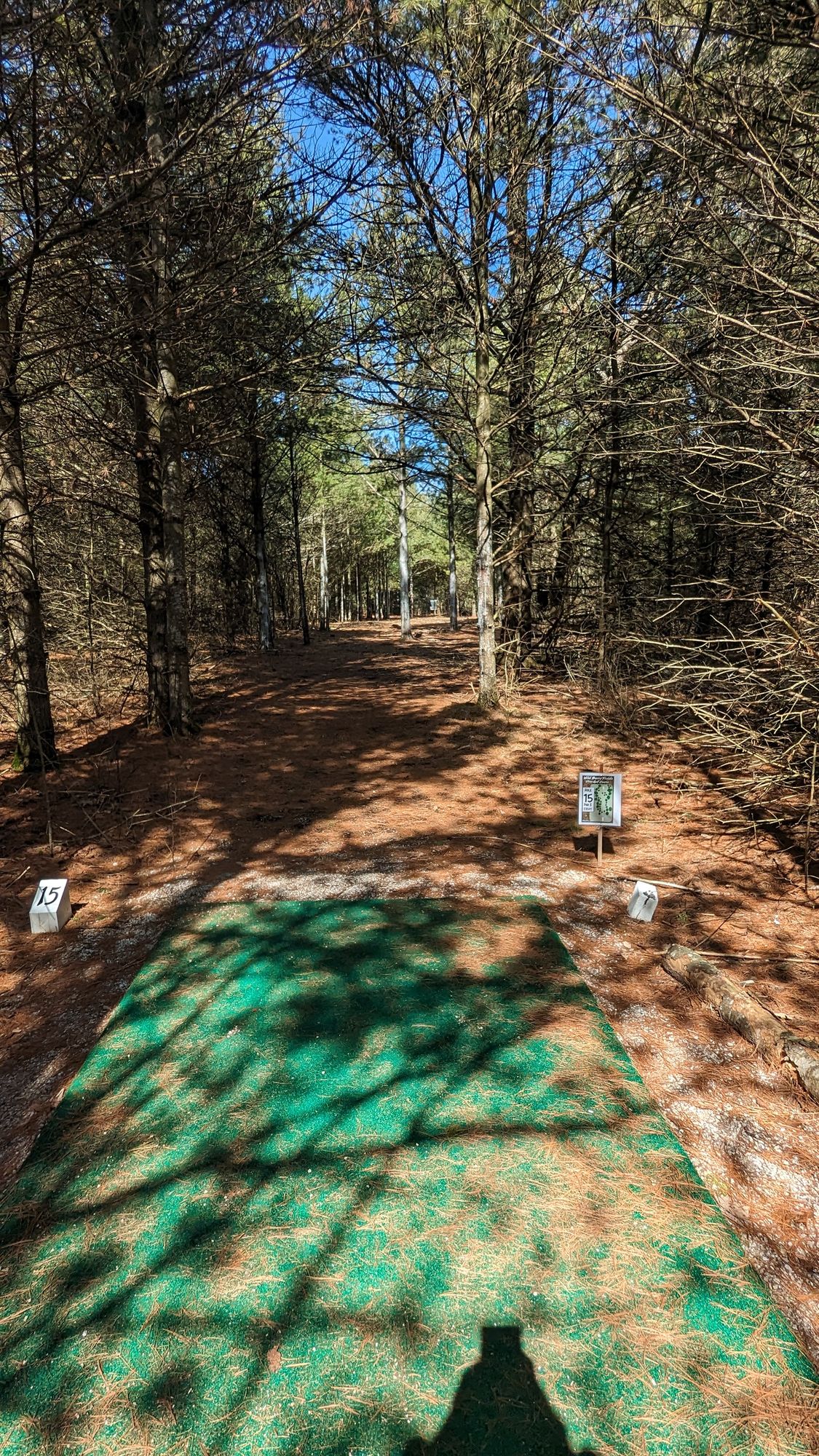 Hole 15-basket on right of fairway between 2 trees