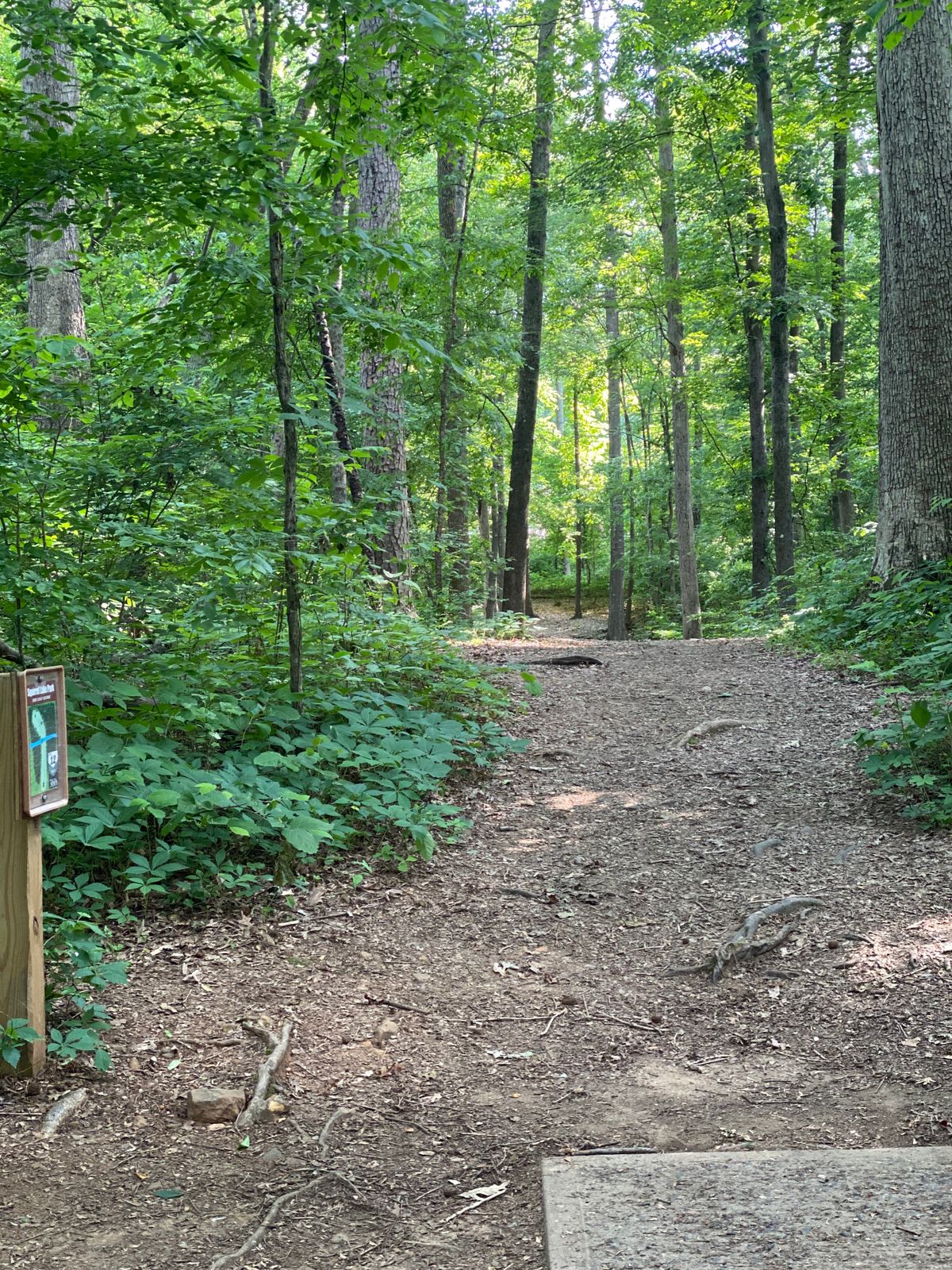 Hole 12 tee