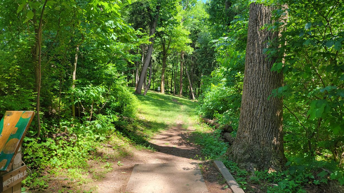 Hole 19 tee