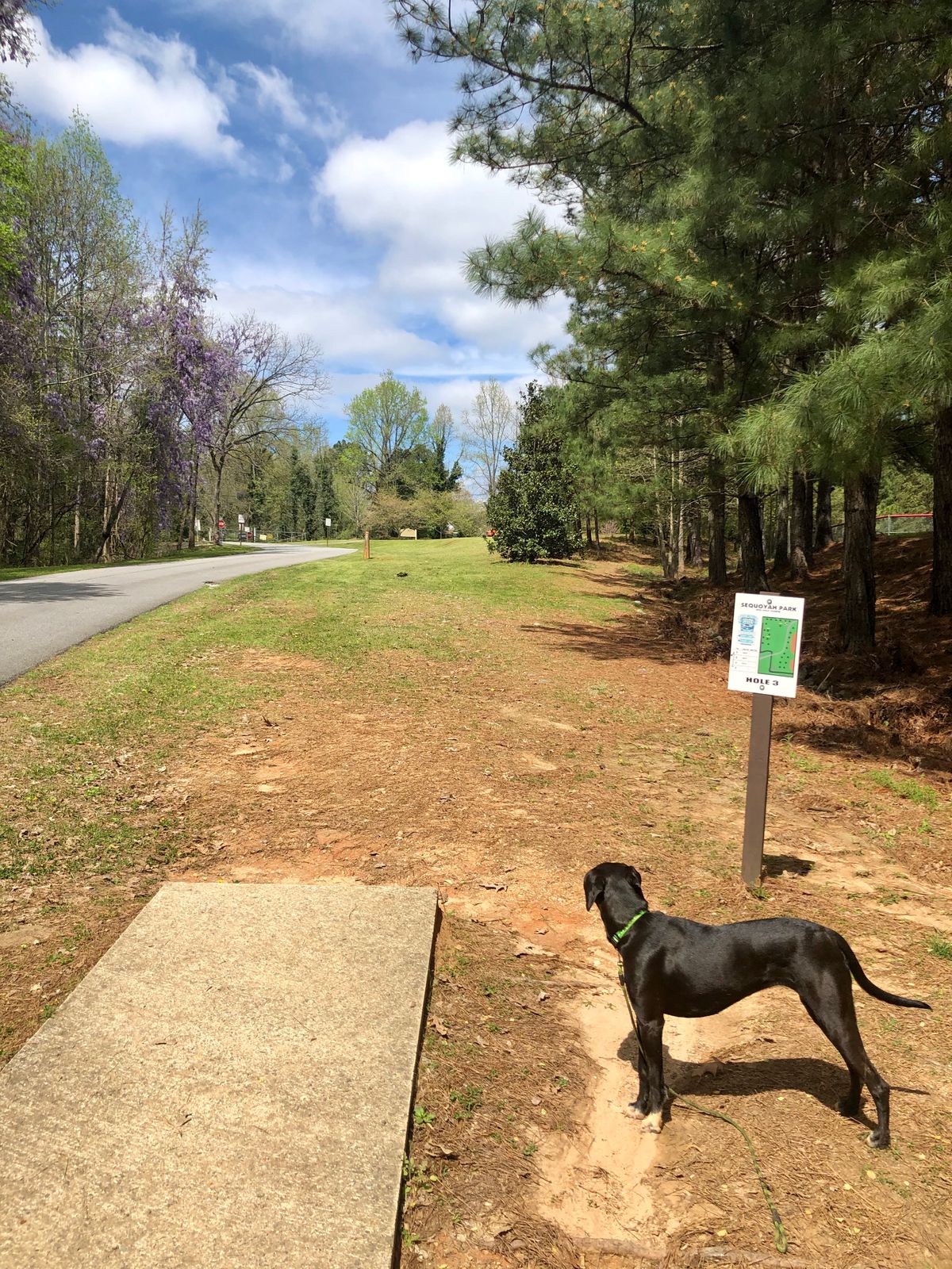 Tee hole 3