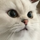 User avatar image
