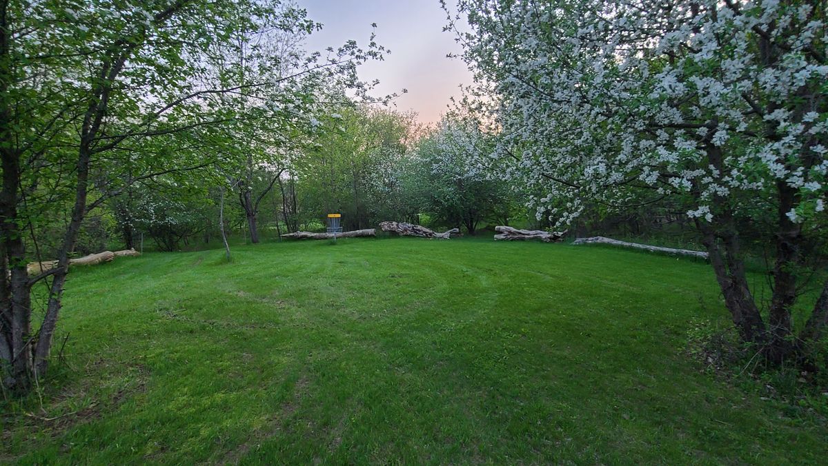 Spring pic of 8