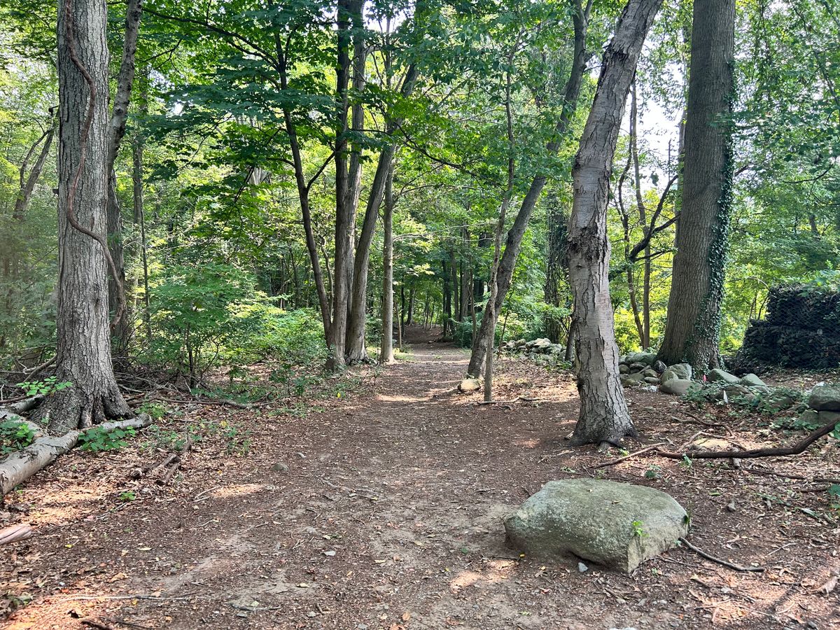 Hole 8