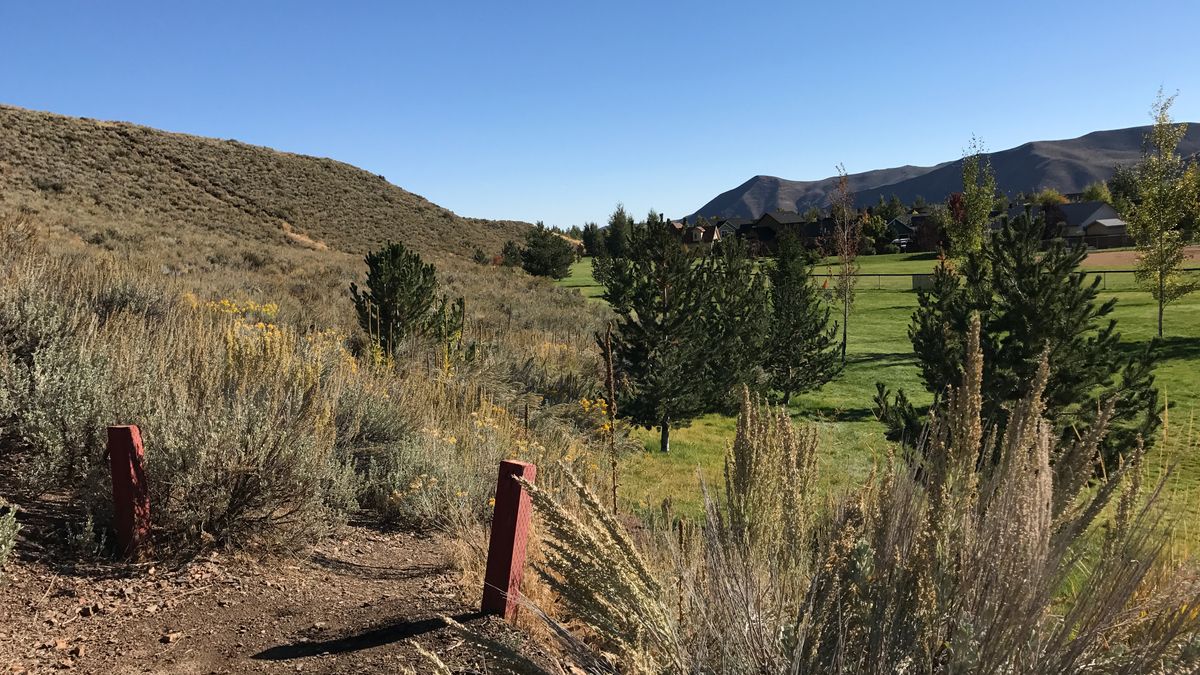 Hole 4