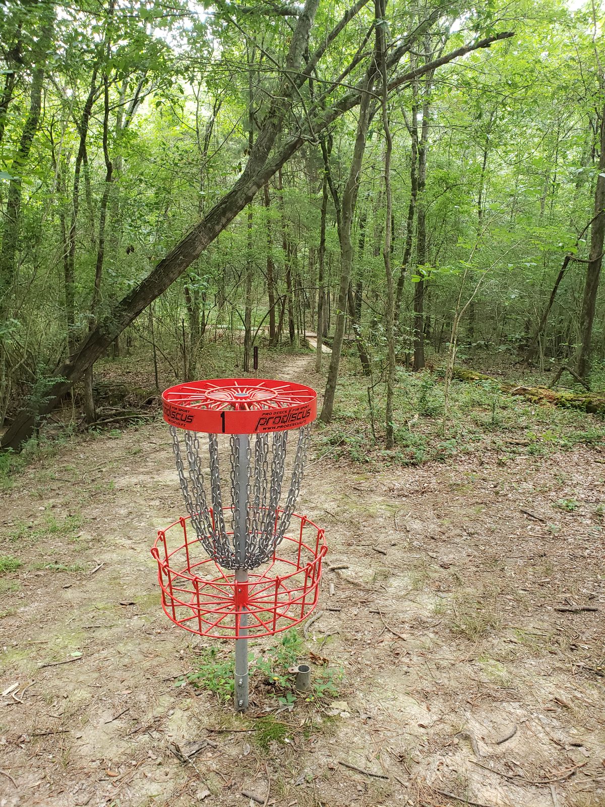 #1 Red Basket