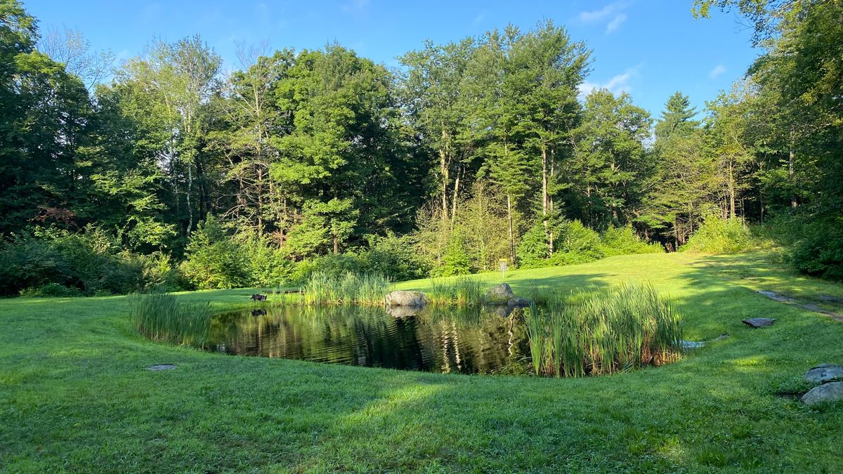 The pond on 14