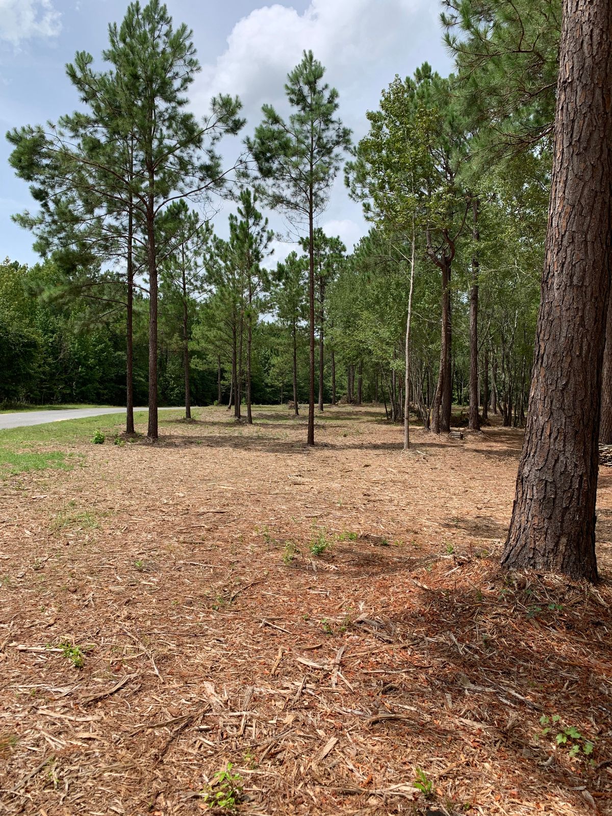 Tee pad used for holes 2, 14, & 17