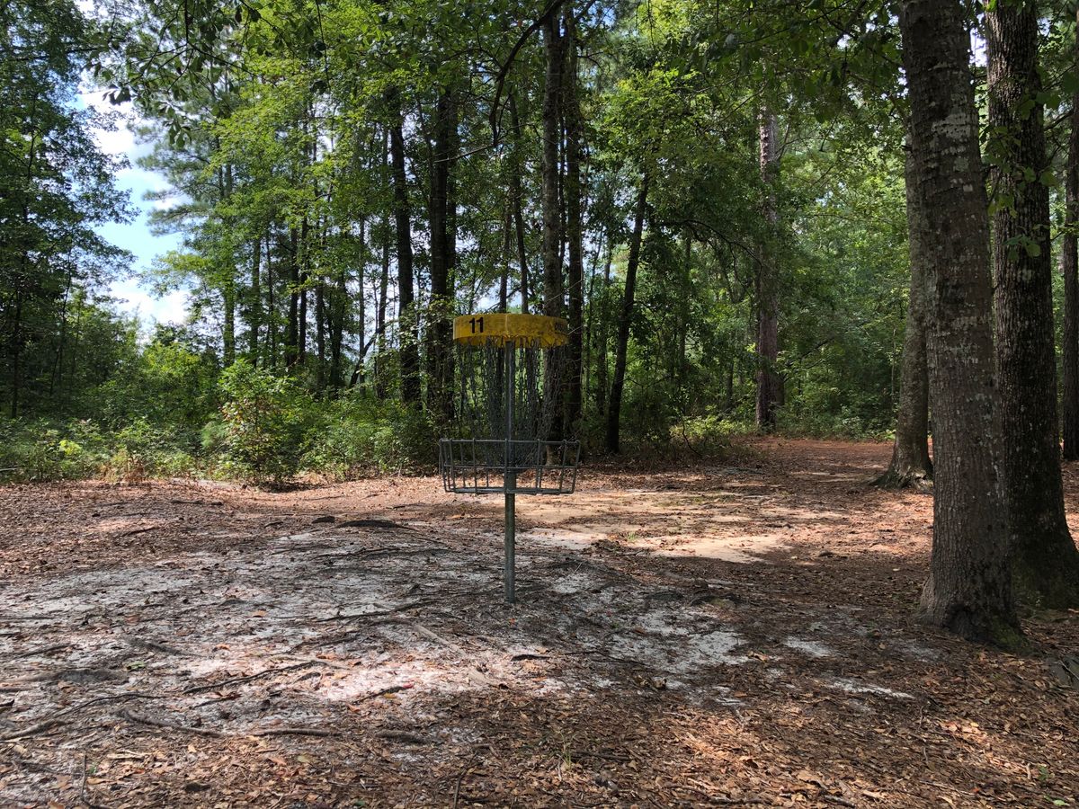 Hole 11