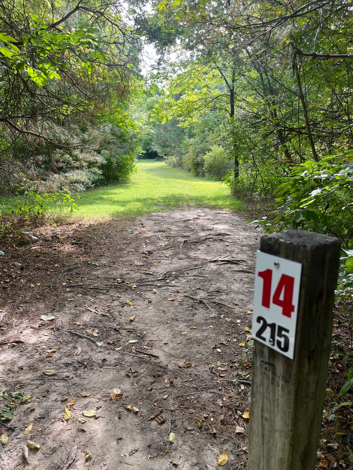 Hole 14