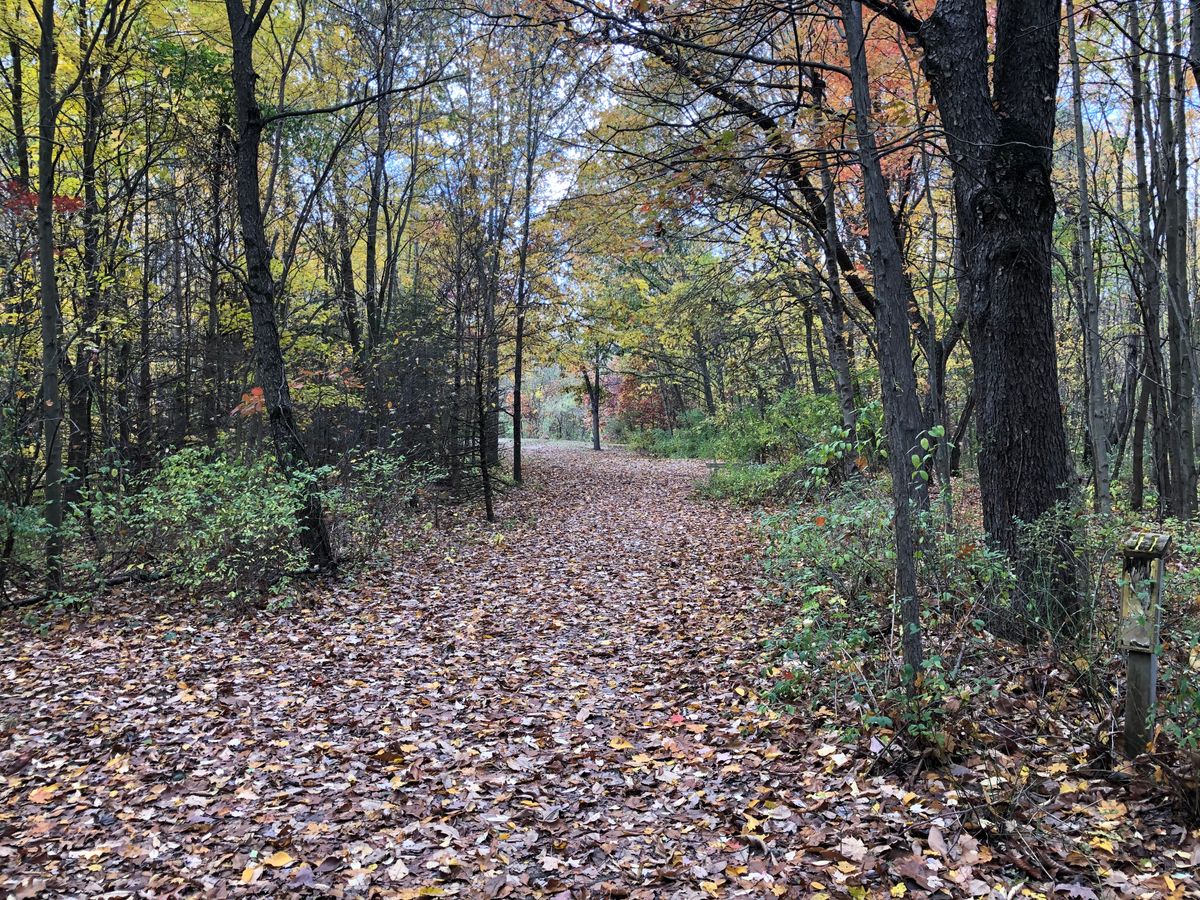 Hole 11 long teepad