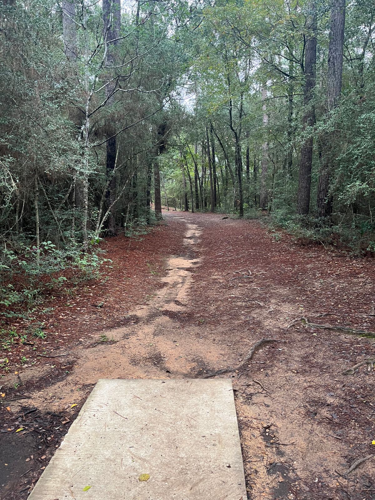 Hole 2 11/11/23