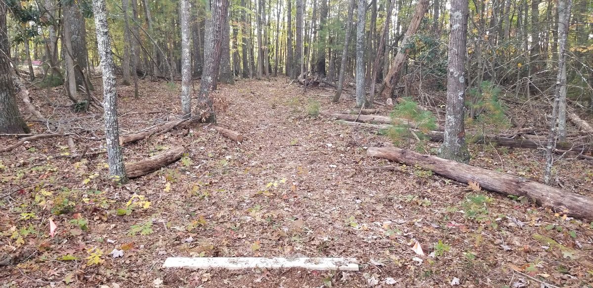 Hole 4 tee