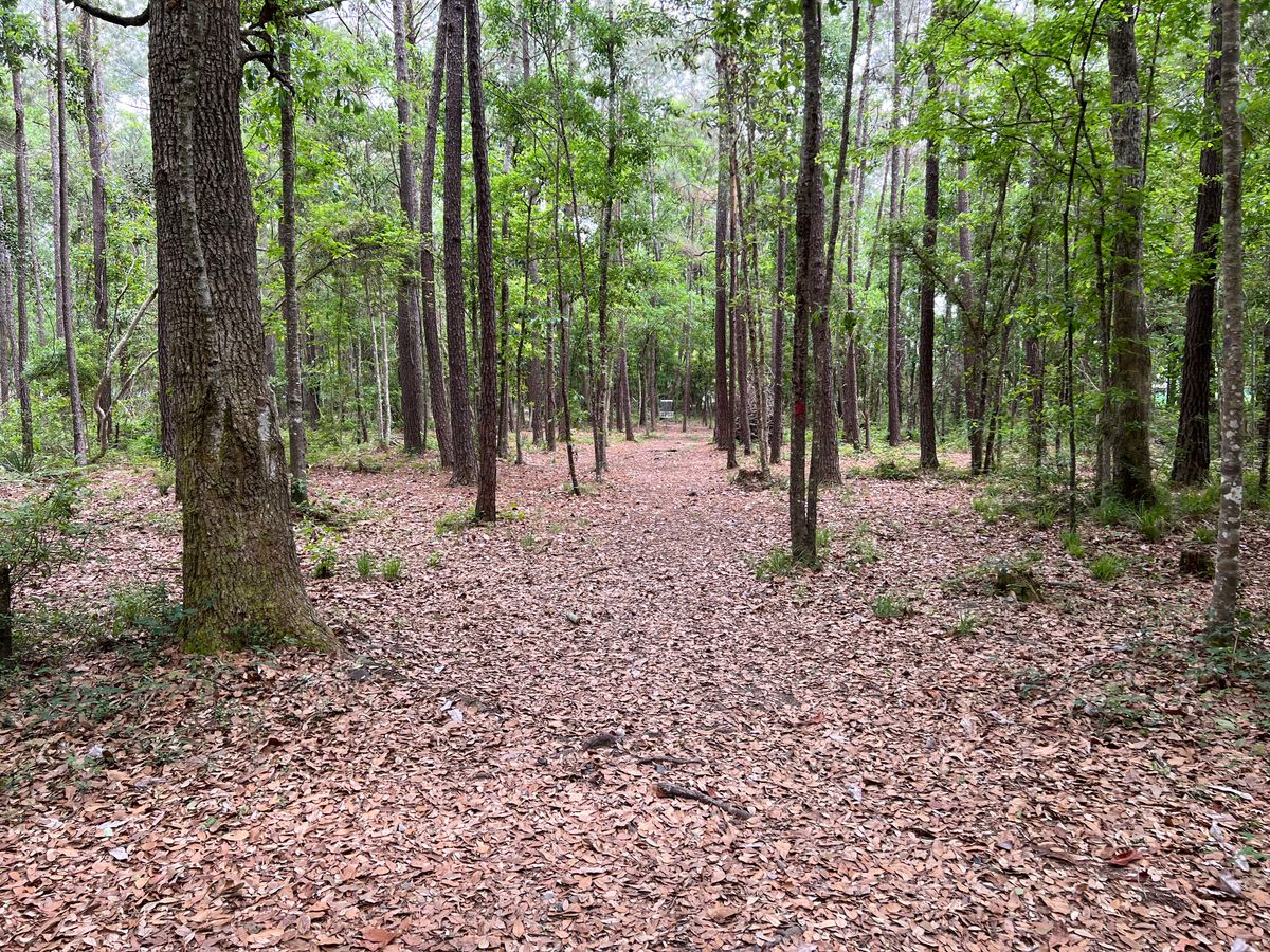 Hole 10 Red