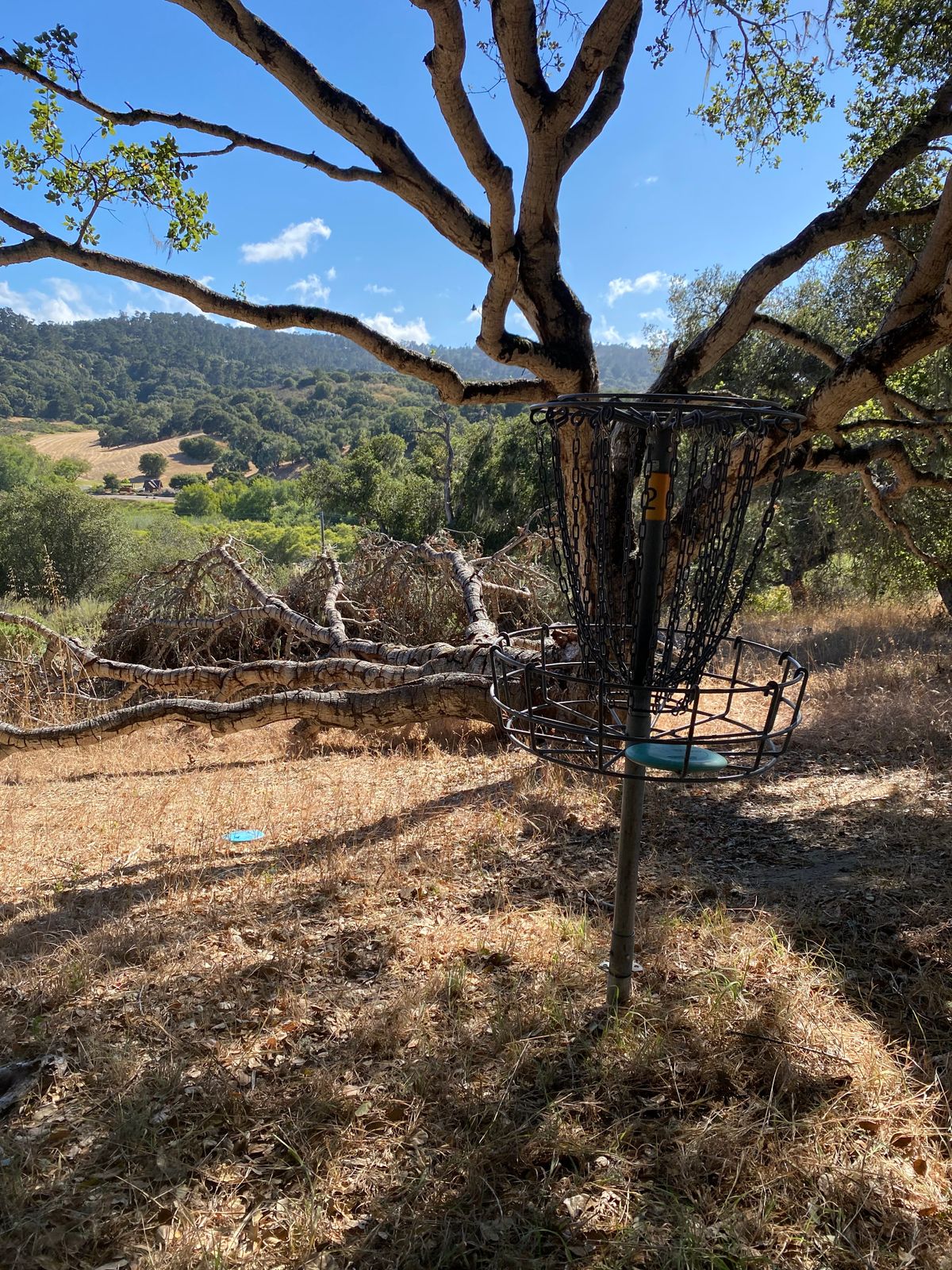 Mother Nature making some adjustments to the course. Hole 12's basket looking back to the Highway.