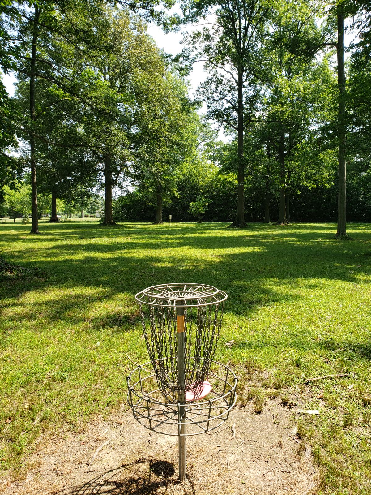#8 Basket looking back to the Tee-Off sign.