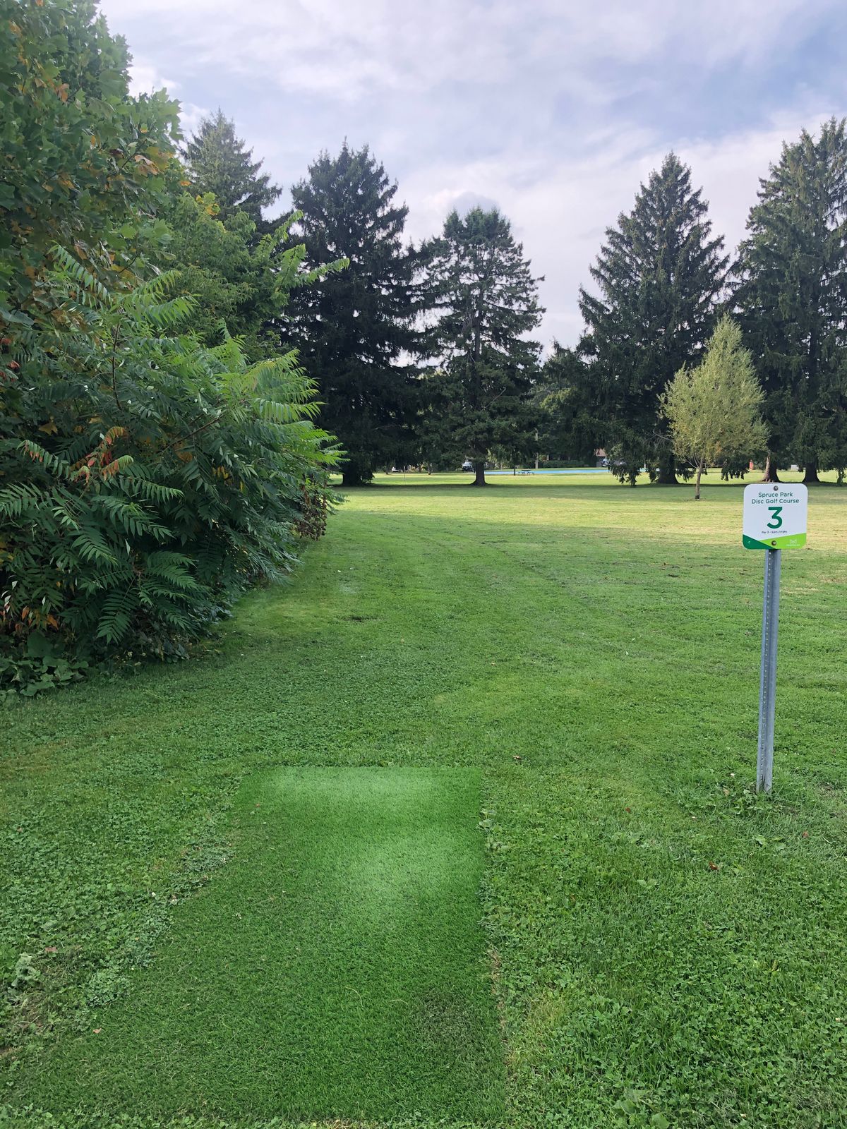 Hole #3 - Tee pads installed June 2024