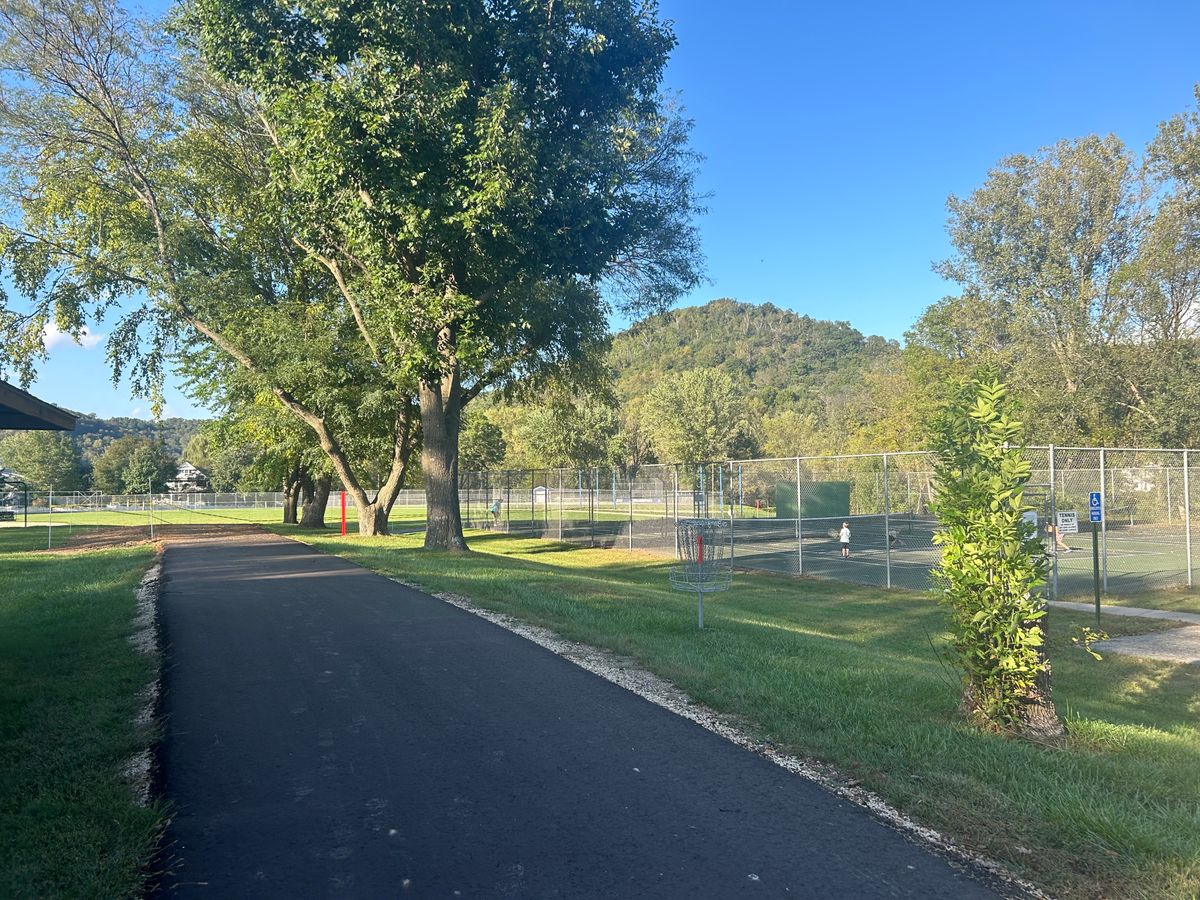 Hole 6 basket