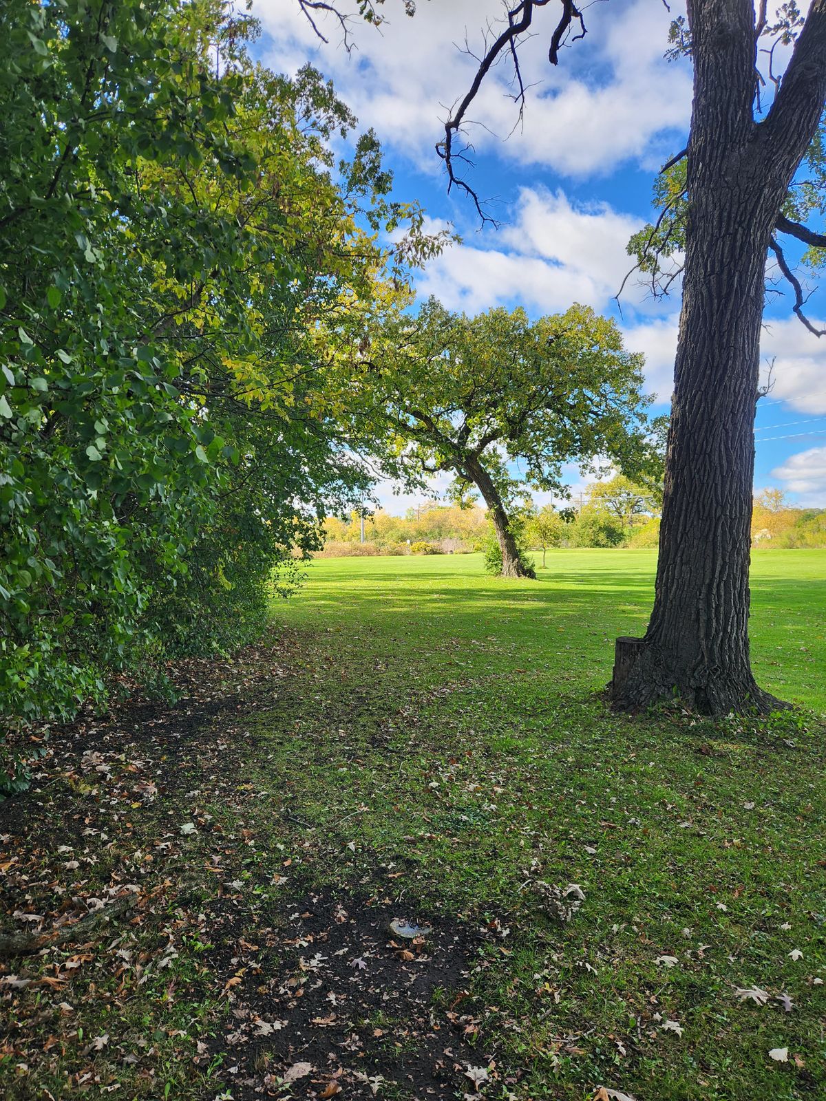 Hole 16 long tee