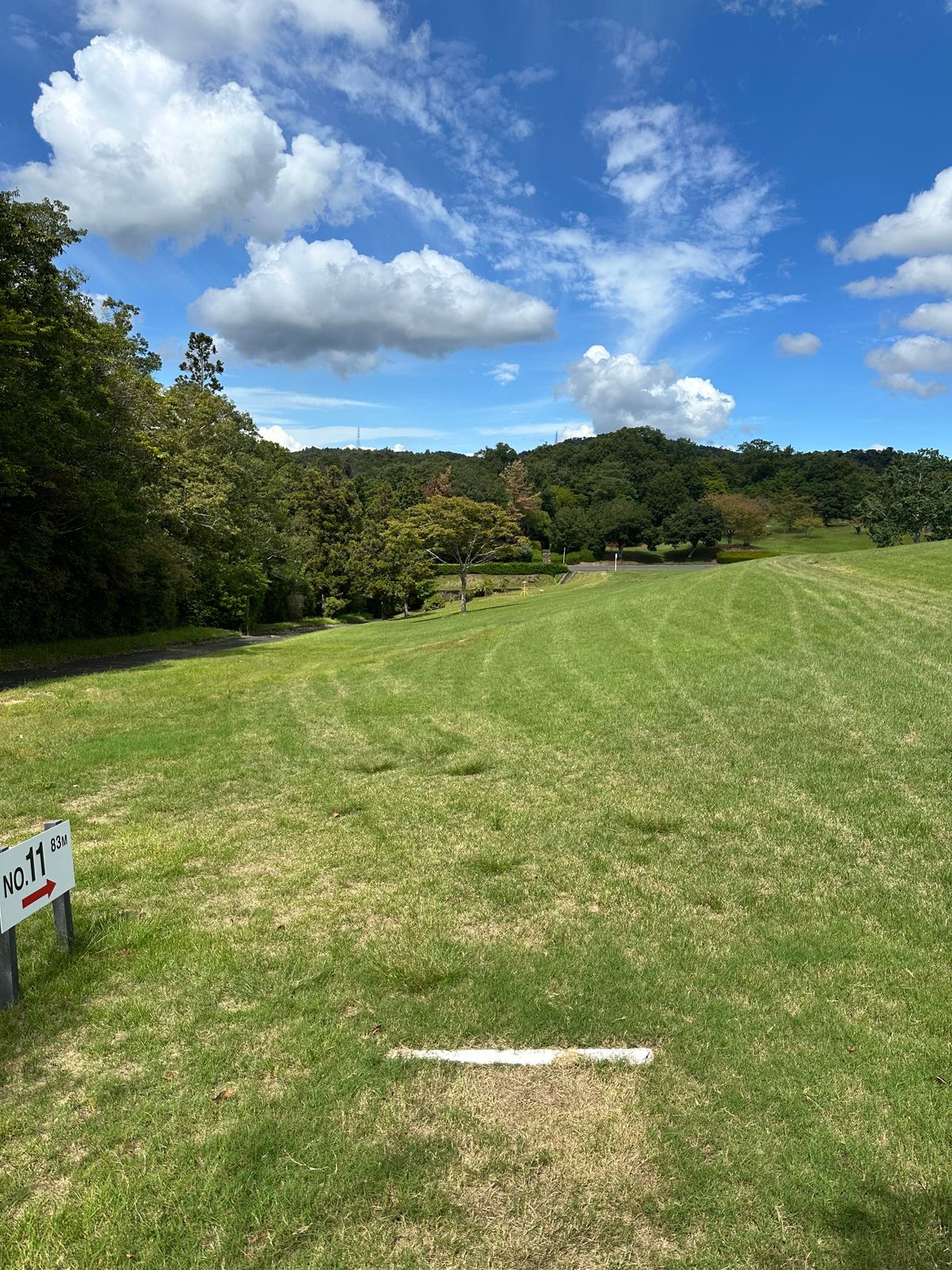 Hole 11